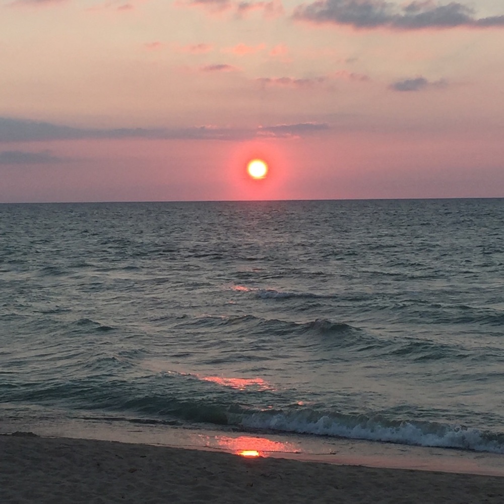 Meet your Posher, Michele